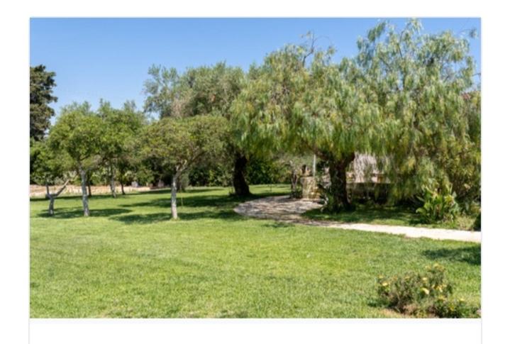 호텔 Agriturismo B&b Li Massari