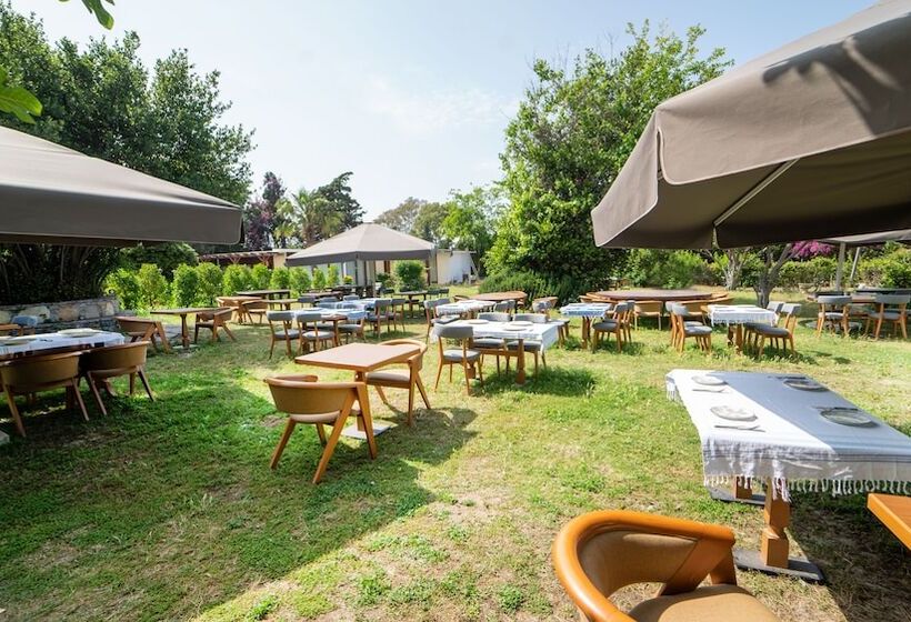 ホテル Bona Me Yalıkavak