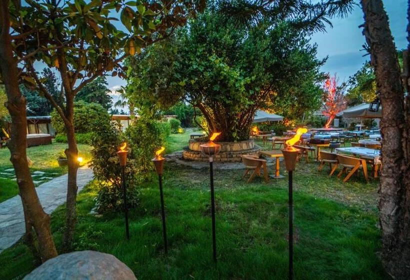 ホテル Bona Me Yalıkavak