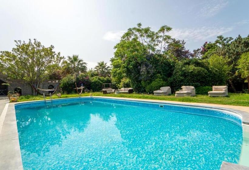 ホテル Bona Me Yalıkavak