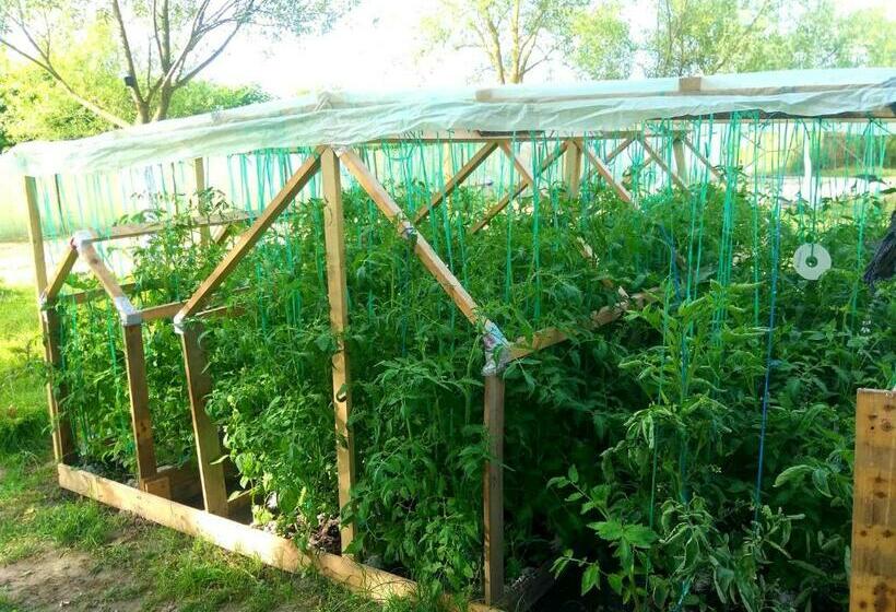 فندق Ferma Valea Soarelui