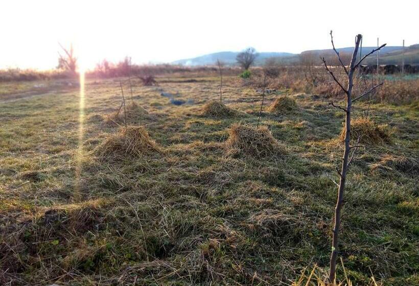 فندق Ferma Valea Soarelui