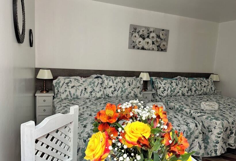 پانسیون Casa Balthazar Hostel