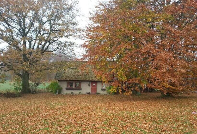 بنسيون Comfy Guest House In Countryside