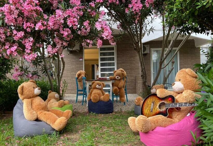 호스텔 Anjeli̇q Social Hub