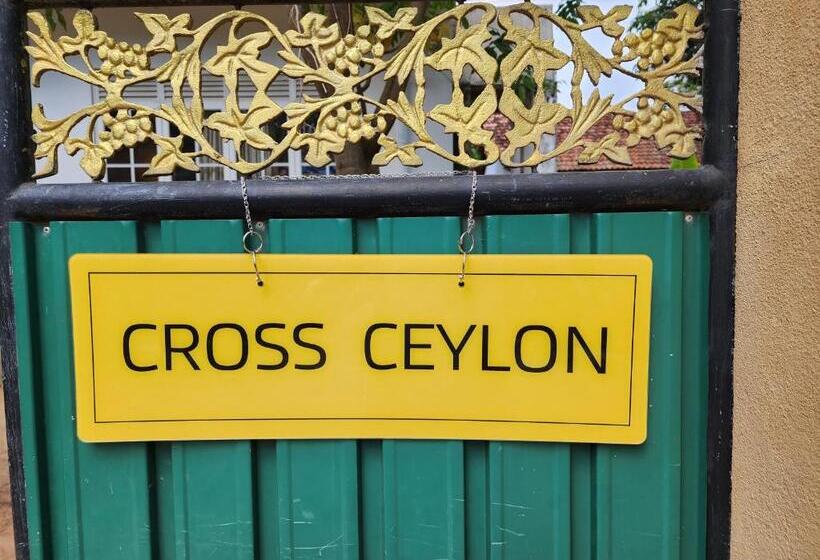 Общежитие Kith And Kin