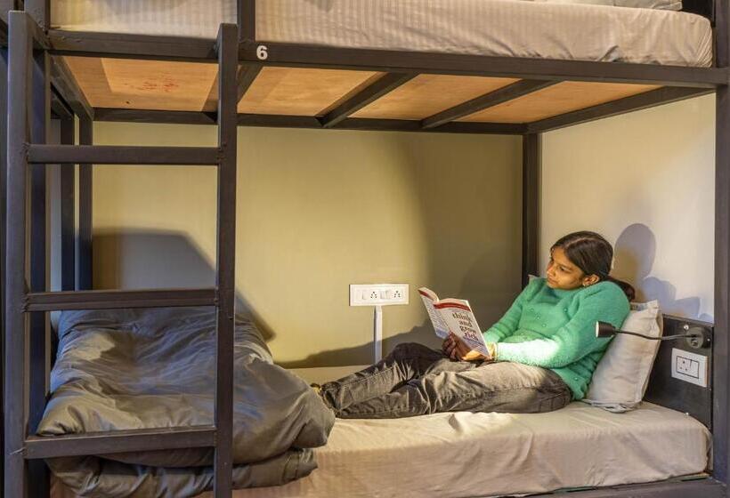 旅馆 The Trippy Tribe Extended