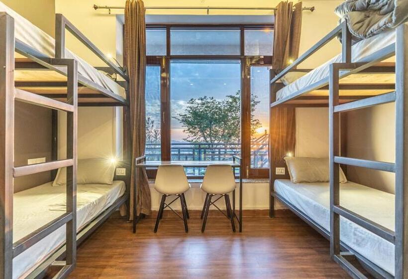 旅馆 The Trippy Tribe Extended