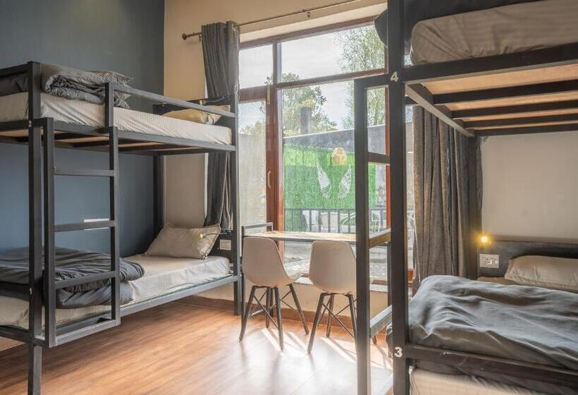 旅馆 The Trippy Tribe Extended