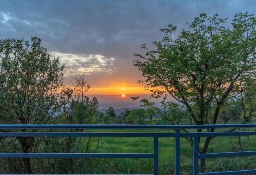 旅馆 The Trippy Tribe Extended