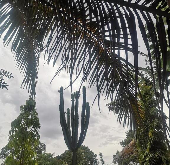 צימר Saza Adventures