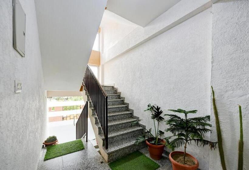 هتل O Asian Resorts N Spa