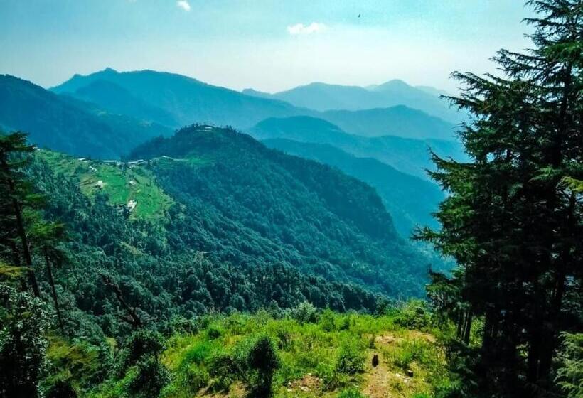 Hotel Dhanolti View By La Riqueza   Welcome New Year With Fresh Snowfall