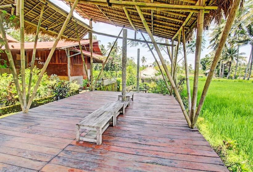 酒店 Oyo 92354 Samalas Syariah Homestay