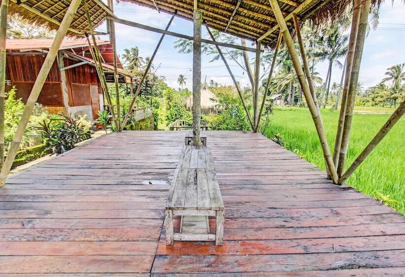 酒店 Oyo 92354 Samalas Syariah Homestay