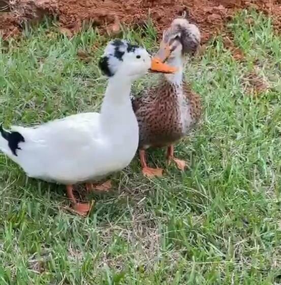 Отель Sunrise Guamal