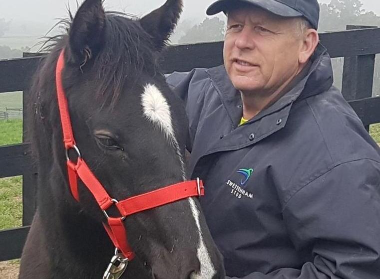 호텔 The Stables   Farm Stay