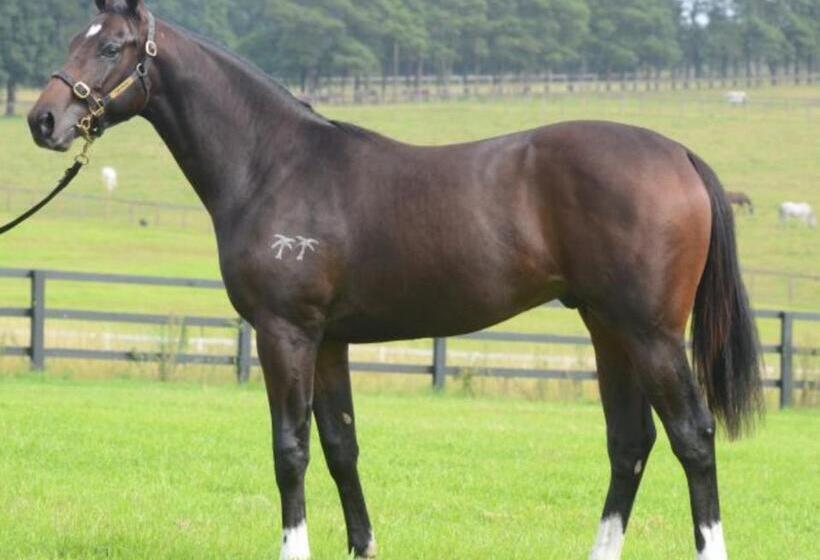 호텔 The Stables   Farm Stay