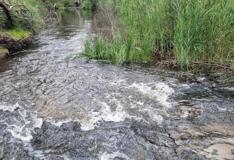 호텔 The Stables   Farm Stay