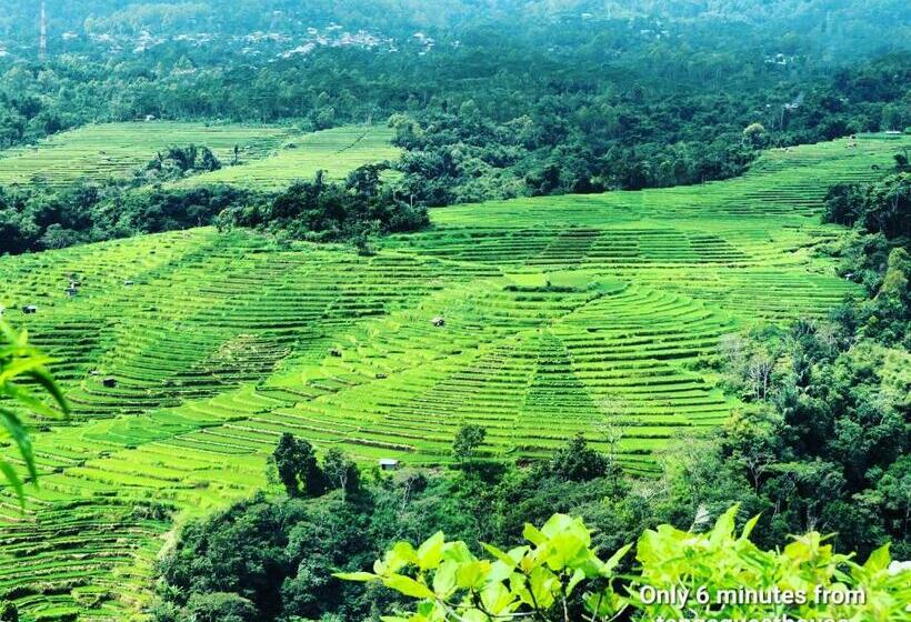 Пансион Tange Guest House