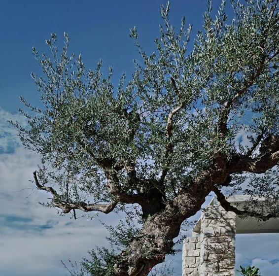 Camvillia Resort Messinia