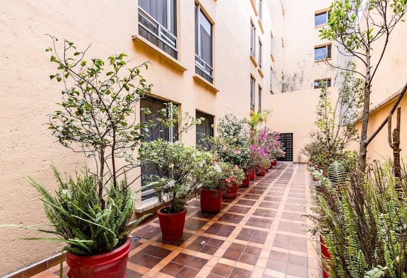 هتل Ayenda Hidalgo