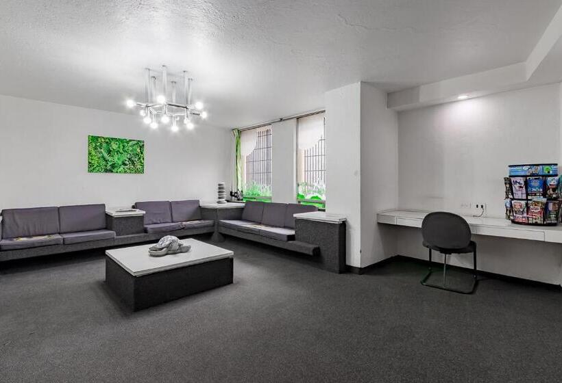 هتل Ayenda Hidalgo