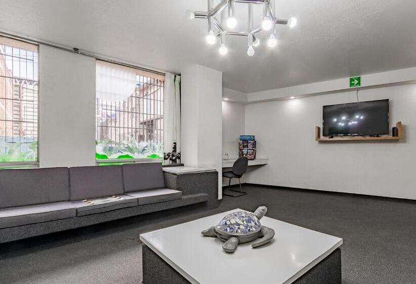 هتل Ayenda Hidalgo