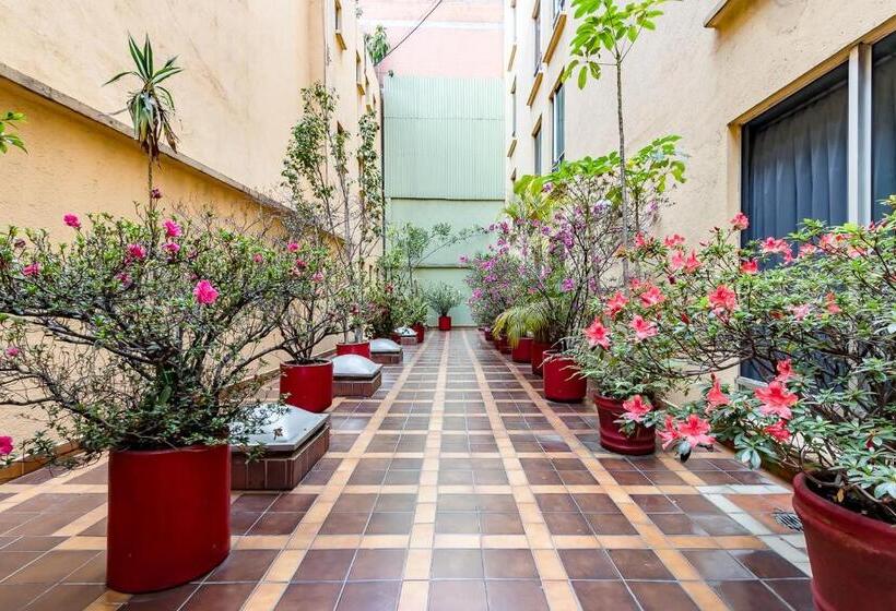 هتل Ayenda Hidalgo