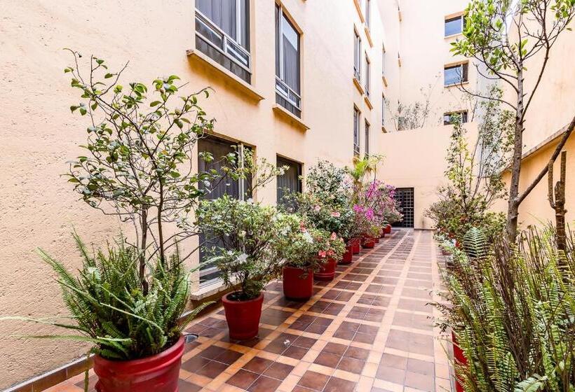 هتل Ayenda Hidalgo