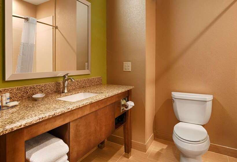 酒店 Best Western Plus Flatonia Inn