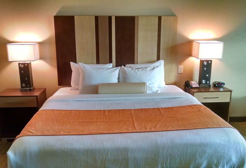 酒店 Best Western Plus Flatonia Inn