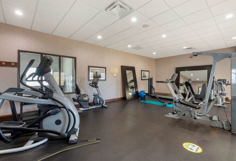 בית מלון כפרי Best Western Plus Fort Stockton