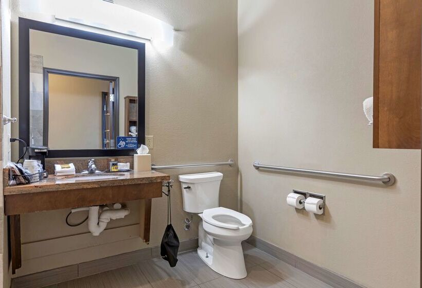 בית מלון כפרי Best Western Plus Fort Stockton