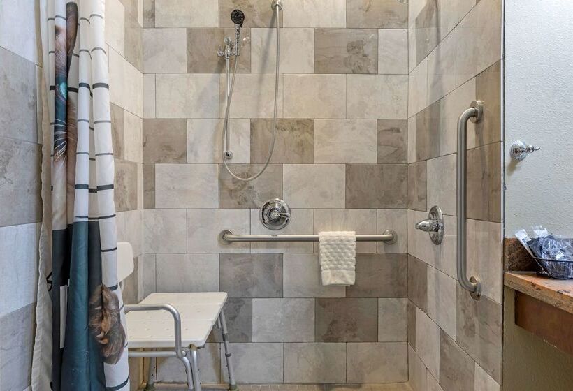 בית מלון כפרי Best Western Plus Fort Stockton