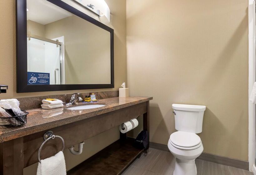 בית מלון כפרי Best Western Plus Fort Stockton