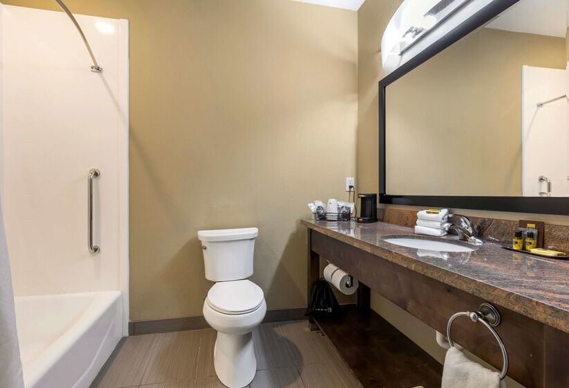 בית מלון כפרי Best Western Plus Fort Stockton