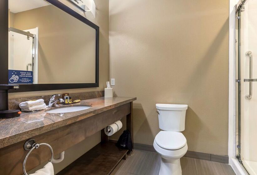 בית מלון כפרי Best Western Plus Fort Stockton