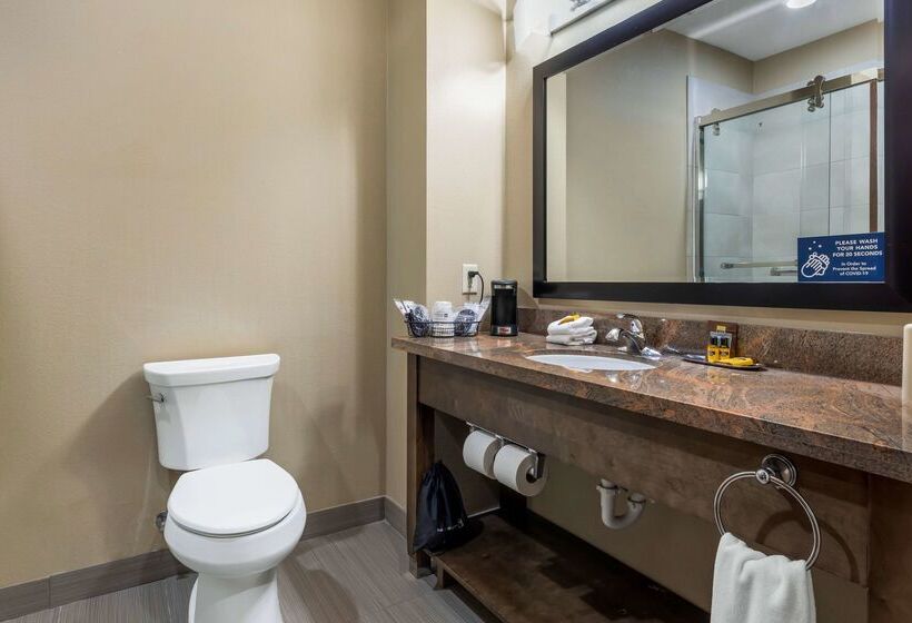 בית מלון כפרי Best Western Plus Fort Stockton