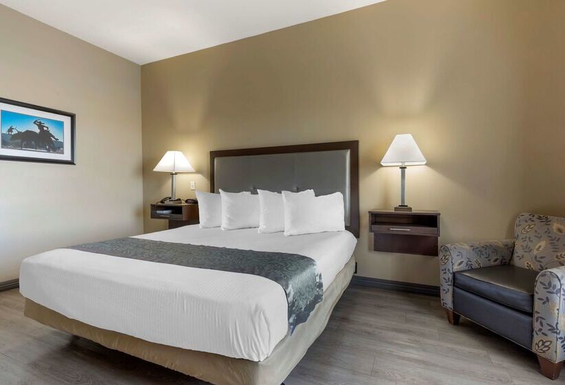 בית מלון כפרי Best Western Plus Fort Stockton