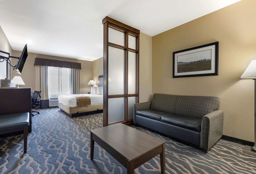 בית מלון כפרי Best Western Plus Fort Stockton