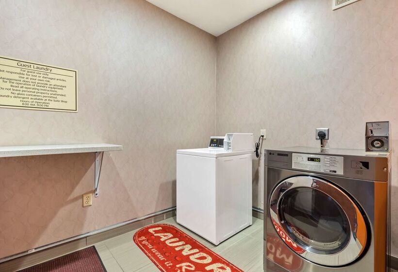 בית מלון כפרי Best Western Plus Fort Stockton