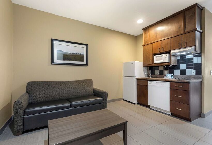 בית מלון כפרי Best Western Plus Fort Stockton