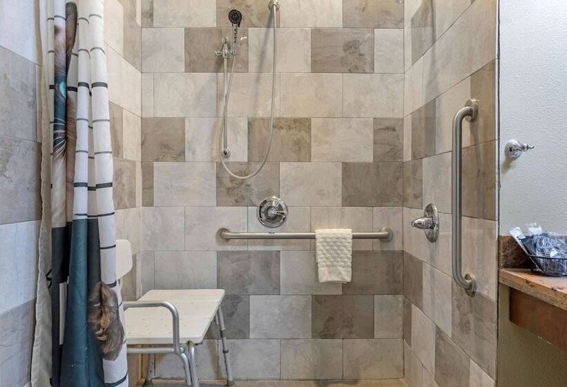 בית מלון כפרי Best Western Plus Fort Stockton