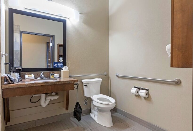 בית מלון כפרי Best Western Plus Fort Stockton