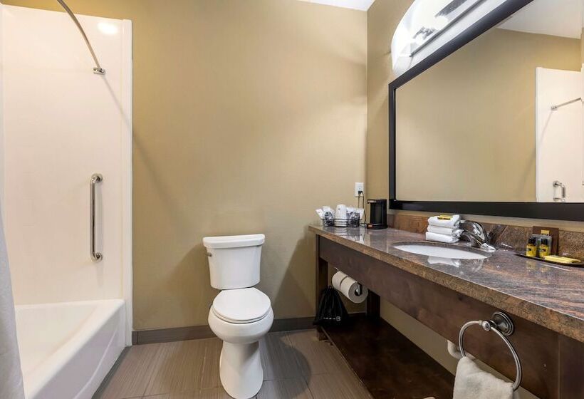 בית מלון כפרי Best Western Plus Fort Stockton