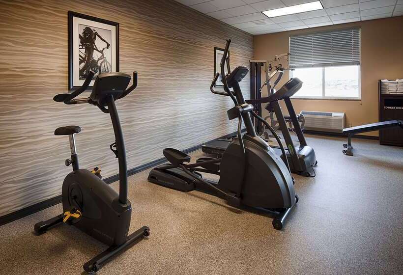 فندق Best Western Plus Havre Inn & Suites