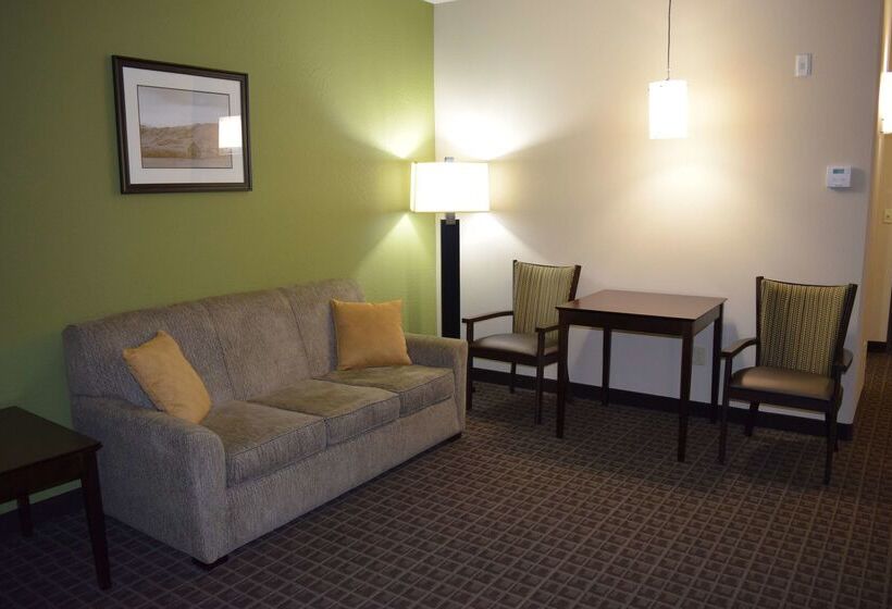 בית מלון כפרי Best Western Plus Havre Inn & Suites