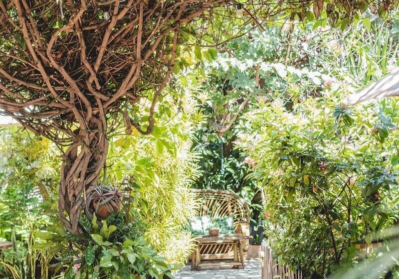 هتل Boutique Casa De Los Santos Reyes Valledupar