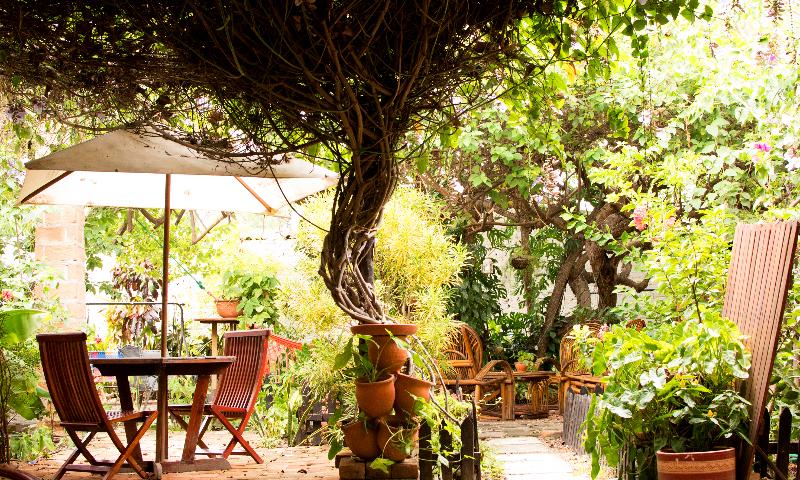 فندق Boutique Casa De Los Santos Reyes Valledupar